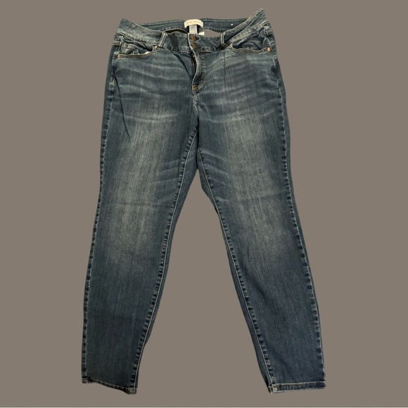 Lane Bryant Denim - LAYNE BRYANT Women’s High Rise Skinny Jeans